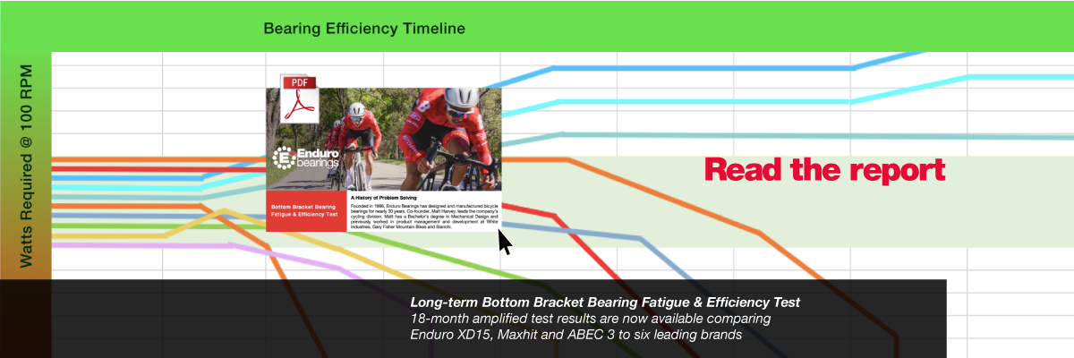 Bearing fatigue and efficiency test report